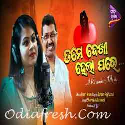 Tame Dekha Hela Pare